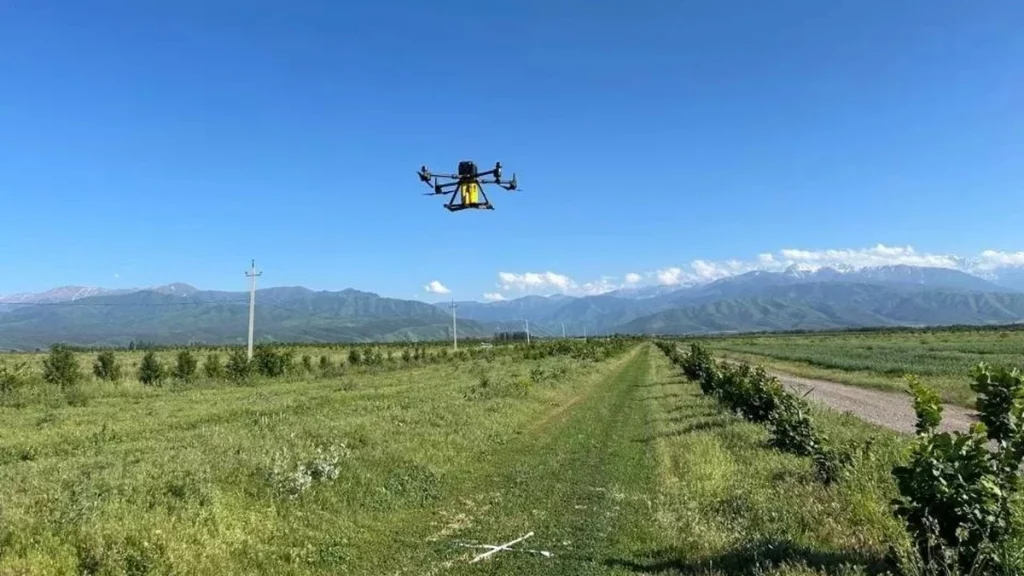 BioDrop: казахстанский дрон расселяет насекомых против вредителей. Что показали испытания и что осталось за скобками