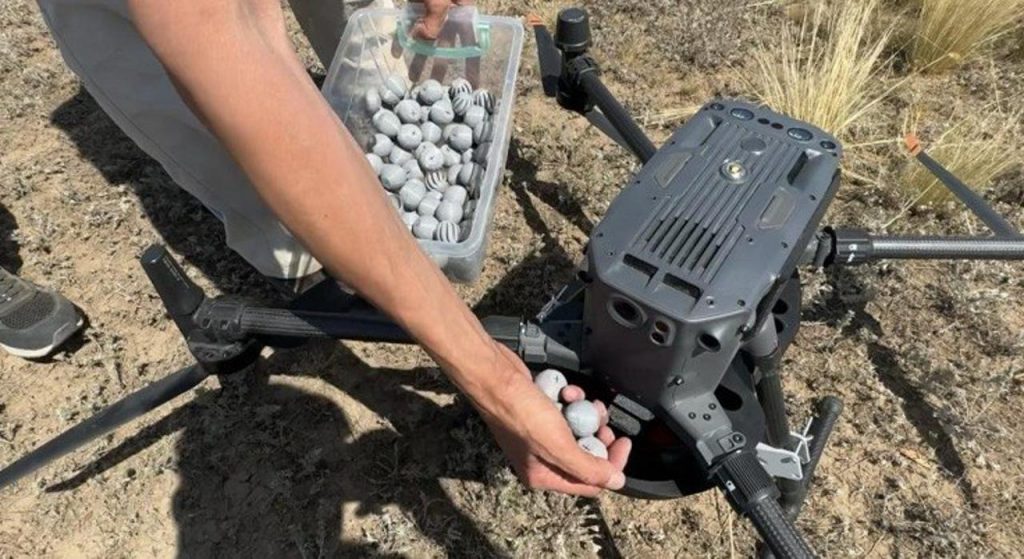 BioDrop: казахстанский дрон расселяет насекомых против вредителей. Что показали испытания и что осталось за скобками
