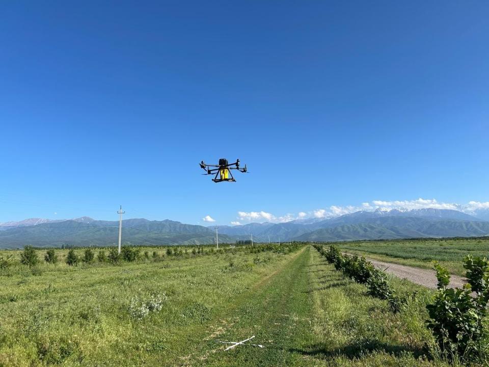 BioDrop: казахстанский дрон расселяет насекомых против вредителей. Что показали испытания и что осталось за скобками
